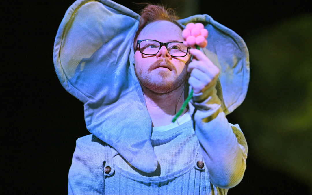 The Whimsical Seussical Jr. Carries Important Message