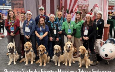 Surprise: Visit to the North Pole Includes Comfort Dogs