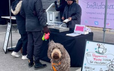 Arlington Heights Farmer’s Market Returns for One-Day Event