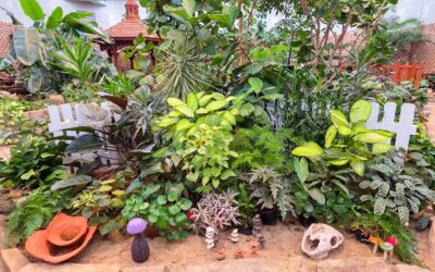 Friendship Park Conservatory Offers Garden Setting for this Artist
