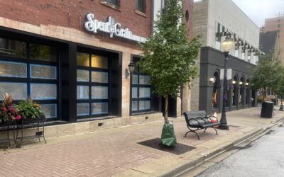 Excitement Building for Spent Grain Brewpub